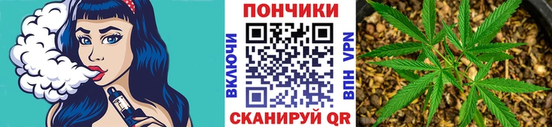 Как найти закладки Щучье Кокаин  Альфа ПВП  Мефедрон  Гашиш  Бошки Шишки 