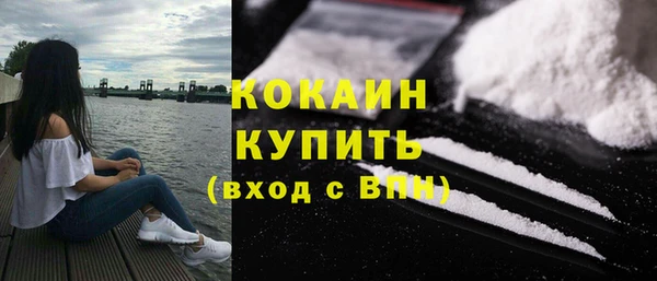 крисы Надым