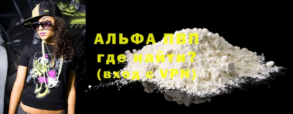 крисы Надым