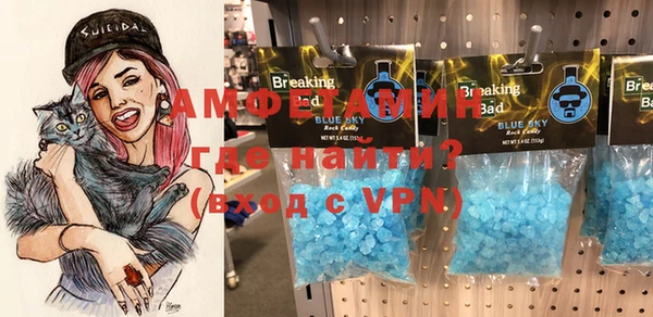 крисы Надым