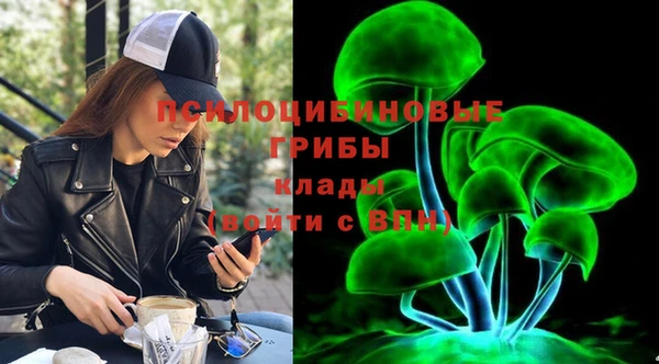 ешки Нефтегорск