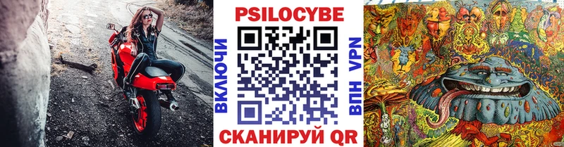 Псилоцибиновые грибы ЛСД  даркнет сайт  Щучье 